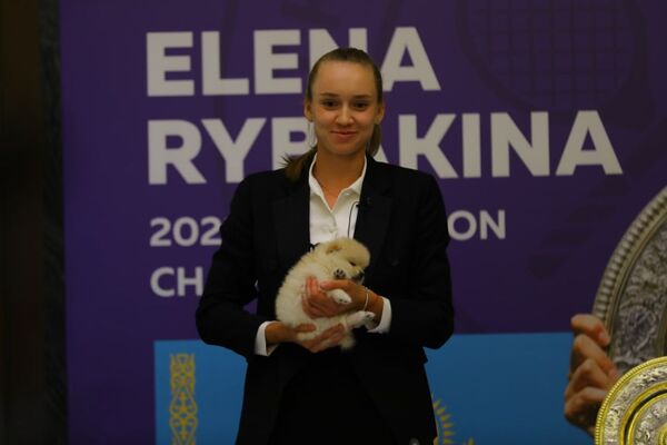 Елена Рыбакина получила необычный подарок. Фото