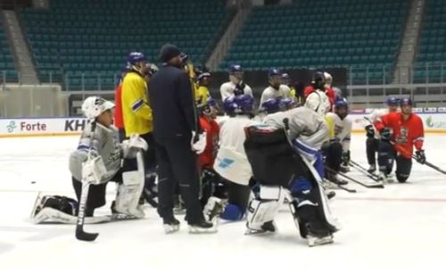 Опубликовано видео с тренировки «Снежных Барсов» на льду