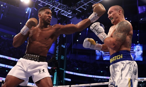 Боксер из Казахстана подсказал Джошуа, как нокаутировать Усика