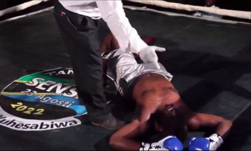 Видео «величайшего» удара в истории. Боксёра нокаутировал настил ринга