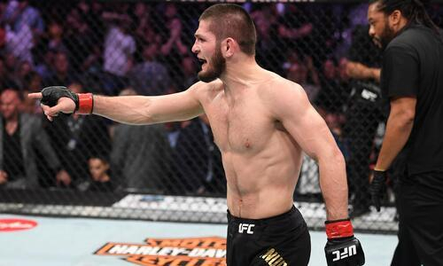 Хабиб Нурмагомедов нокаутировал еще одного соперника. Видео