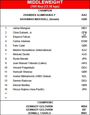 WBO официально представила Алимханулы в статусе чемпиона мира и назвала его претендентов