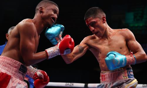 Бой легенды бокса за титул WBC завершился крутым махачем. Видео