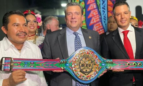 WBC заподозрили в попытке «развести» Головкина и «Канело» на деньги