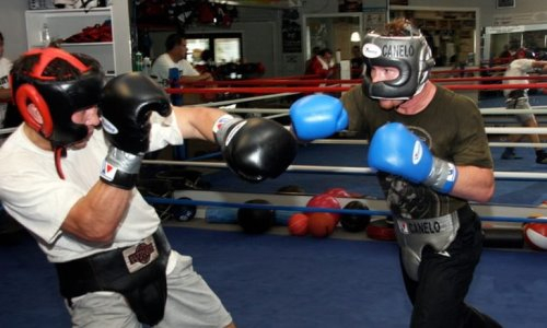 «Еще не были GGG и „Канело“». Главред The Ring вспомнил спарринг Головкина и Альвареса