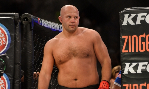 Назван вероятный соперник Фёдора Емельяненко