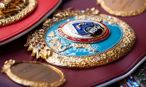 Казахстанца признали самым избегаемым чемпионом в боксе