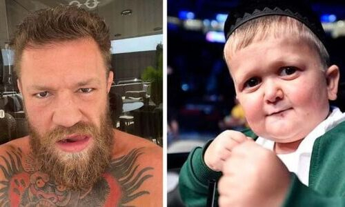 «Даст ему по шее». Президент UFC высказался о бое Хасбика с Макгрегором