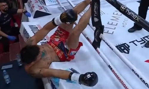 Боксера с 24 нокаутами за 18 секунд зверски выкинули за канаты. Видео