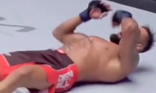 Ошеломительный нокаут российского бойца заставил зрителей хвататься за голову. Видео