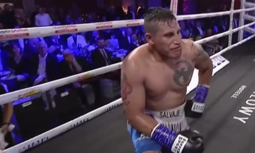 «Дьявол» с 40 нокаутами жестоко избил экс-соперника непобежденного казахстанца. Видео