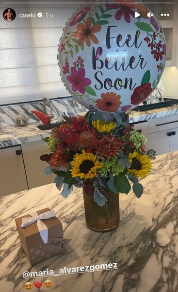 «Канело» перенес операцию после третьего боя с Головкиным