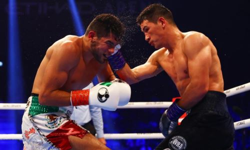 Представлена статистика ударов боя Дмитрий Бивол — Хильберто Рамирес