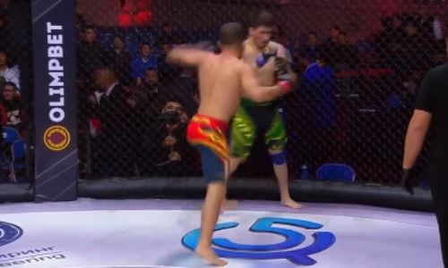 Бой казахстанского файтера с узбекистанцем вылился в избиение и нокаут. Видео