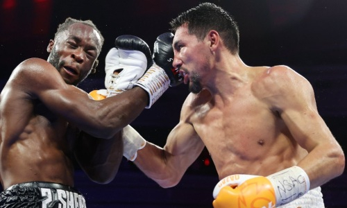 Российский эксперт разобрал чемпионский бой Жанибека Алимханулы и пришел к неутешительным выводам