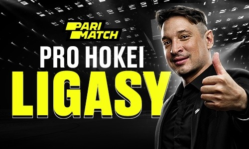 Прогноз от эксперта на матч «Хумо» — «Снежные Барсы»