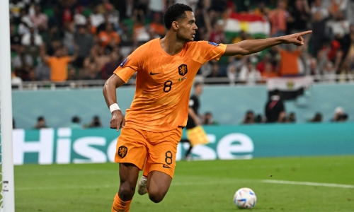 Прямая трансляция матчей Нидерланды — Катар, Уэльс — Англия и еще двух игр ЧМ-2022 по футболу