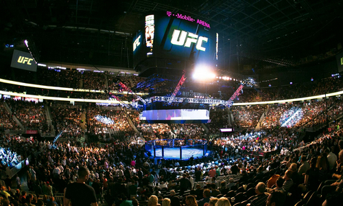 «Смертельно опасный». Казахстану предрекли появление новой суперзвезды UFC