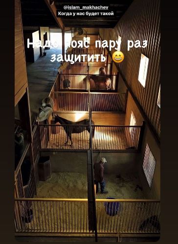 Нурмагомедов обратился к Махачеву и получил ответ