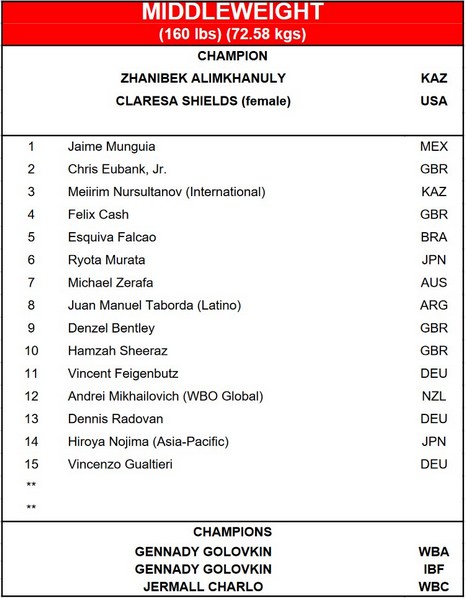 Казахстанский боксер получил шанс сразиться с Жанибеком Алимханулы за титул чемпиона мира