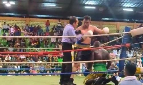 40-летний супертяж упал на колени после свирепого избиения. Видео