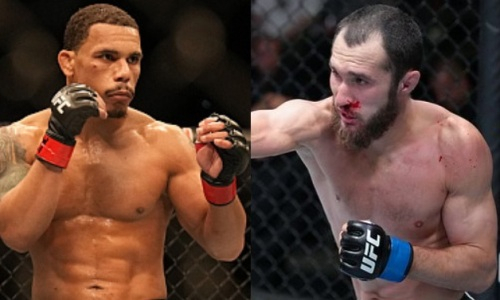 «Он кажется лучше везде». В США назвали победителя боя Морозов — Ньюсон