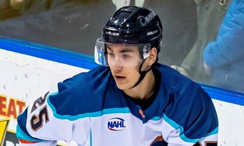 Казахстанский хоккеист примет участие в Матче звёзд североамериканской лиги