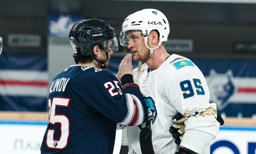 Фоторепортаж с матча КХЛ «Нефтехимик» — «Барыс» 1:3