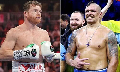 «Без проблем, я буду драться». «Канело» заявил о желании провести бой с Усиком
