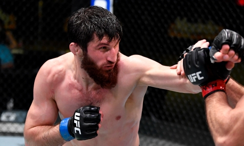 Магомед Анкалаев оставил грозное послание чемпиону UFC