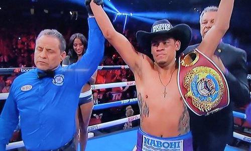 Бой за титул чемпиона мира обернулся яростной рубкой и нокаутом. Видео