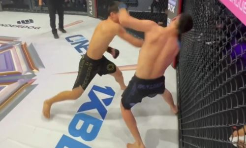 Сумасшедшим нокаутом завершился бой на турнире MMA с участием Казахстана. Видео