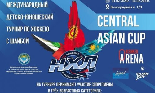 Казахстанские команды сыграют на международном хоккейном турнире