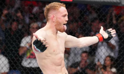 Быстрым и зверским избиением обернулся бой перед выходом Махачева на UFC 284. Видео