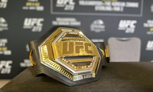 Назван боец UFC, который должен быть лидером P4P. Это не Махачев и Волкановски