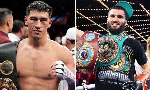 Названы сроки супербоя за «абсолют» Бивол — Бетербиев