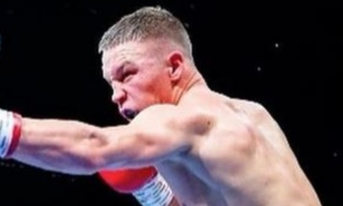 Появилось видео победного боя «Казахского короля» против узбекистанца в Ташкенте