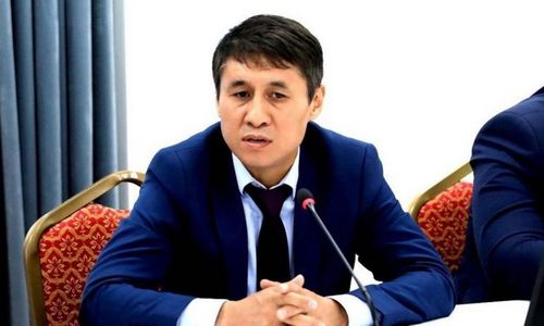 Экс-чемпион мира из Казахстана оценил влияние бойкота ряда стран на ЧМ-2023 по боксу