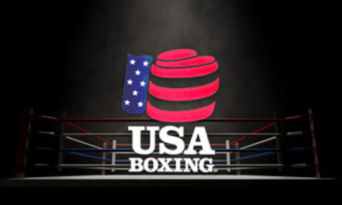 В США отреагировали на обвинения в призыве бойкота чемпионата мира по боксу с участием Казахстана