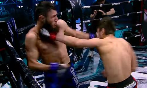 Казахстанский боец и «Добряк» из Таджикистана устроили зверскую рубку с нокаутом. Видео
