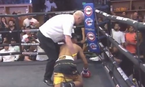 Сын двукратного олимпийского чемпиона по боксу победил жутким нокаутом. Видео