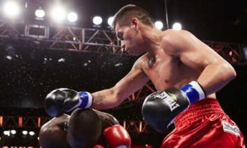 Брат легенды бокса нокаутом выиграл бой за титул WBC. Видео