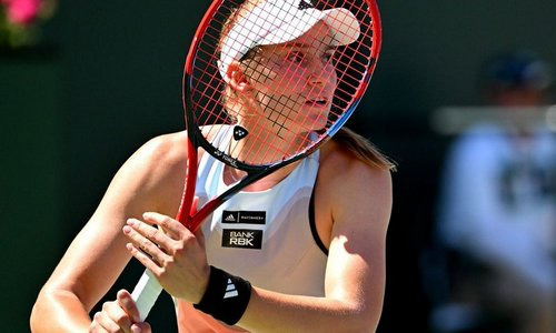 Французский эксперт восхитился эффектным финишем матча Елены Рыбакиной в США. Видео