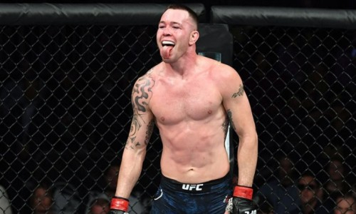 Ковингтон посоветовал Махачеву не подниматься в вес Рахмонова