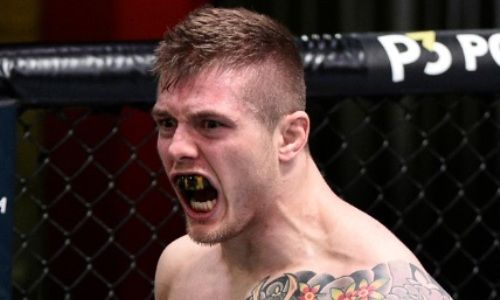 Боец UFC ударом в голову вырубил боксера в массовой драке. Видео