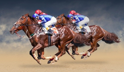 Лошадиные силы: ключевые даты из истории конного спорта