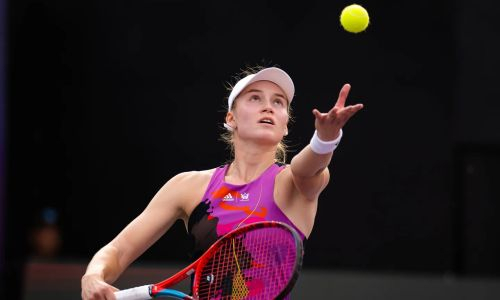 Елена Рыбакина определилась с планами после выступления за сборную Казахстана