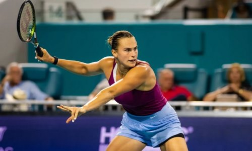 В России вынесли вердикт обидчице Рыбакиной в финале Australian Open