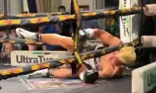 Брутальным нокаутом завершился бой непобежденного узбекистанского боксера. Видео