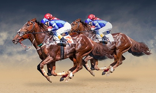 Лошадиные силы: ключевые даты из истории конного спорта